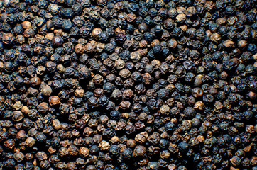 Black pepper - close up