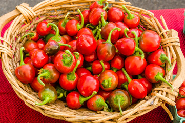Red hot cherry peppers in wicker basket