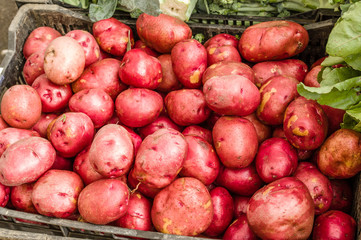 Basket of red potatoes at the market