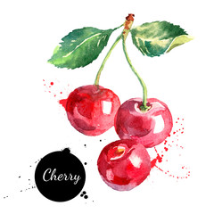 Fototapeta na wymiar Hand drawn watercolor painting cherry on white background