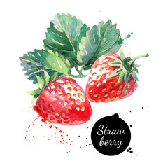 Hand drawn watercolor painting strawberry on white background