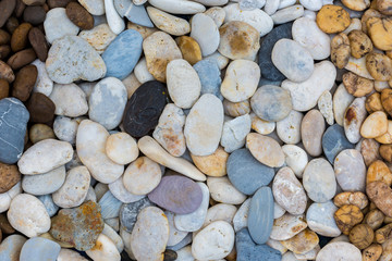 Sea stones background white