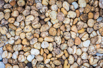 Sea stones background yellow