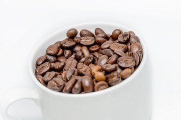 Coffee beans seed in white cup isolated highkey