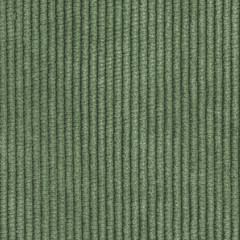 texture of green  corduroy. Useful for background
