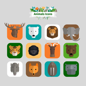 Animals Avatars
