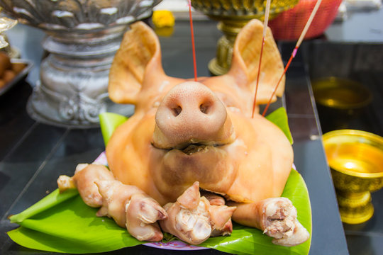 Pig's head chopped off on tray