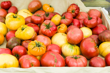 Heirloom tomatoes at the farm market