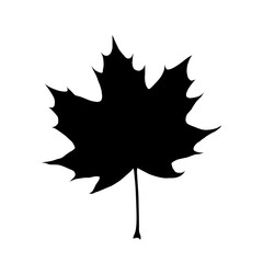 Organic and natural maple leaf flat icon for apps and websites