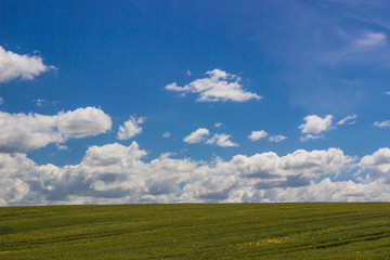 Field on a background of blue sky.