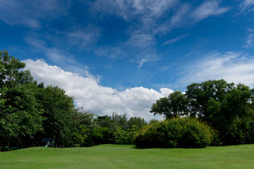 Park in daytime background