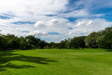 Obraz na płótnie Canvas Park in daytime background