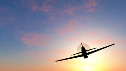 Fototapeta na wymiar flight in a sunset