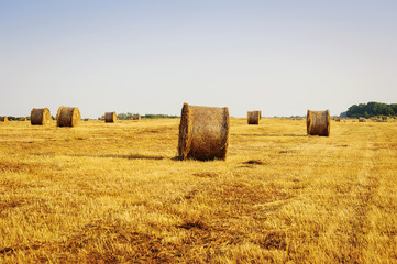 Fototapeta na wymiar Beautiful landscape with straw bales in end of summer