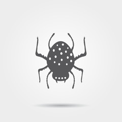 Spider icon
