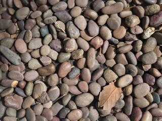 Color pebble stone in background