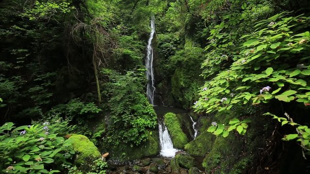 滝と緑（東京檜原村大滝） フィックス