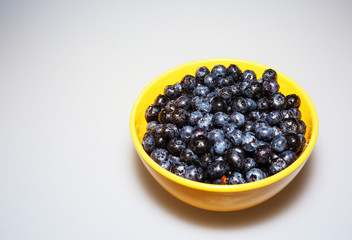Blueberries in a bowl on isolated white