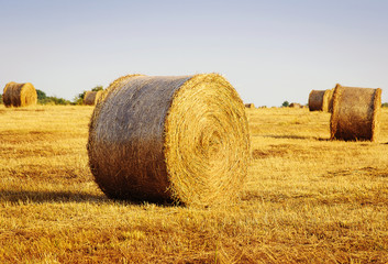 Fototapeta premium Beautiful landscape with straw bales in end of summer