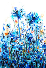 thickets of cornflowers flowers, abstract watercolor background