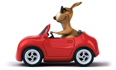 Fun kangaroo © Julien Tromeur