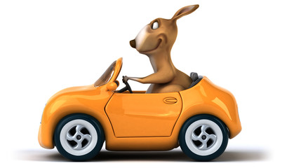 Fun kangaroo © Julien Tromeur