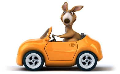 Fun kangaroo © Julien Tromeur