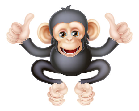 Thumbs Up Chimp Monkey