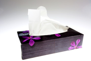 One box of tissues isolated  white