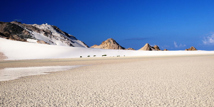 Qalansiyah Images Browse 31 Stock Photos, Vectors, and Video Adobe