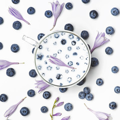 Blueberries on white background