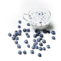 Blueberries on white background
