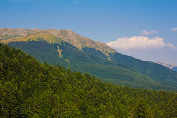 Fototapeta premium Veduta panoramica dall'Abetone in Toscana