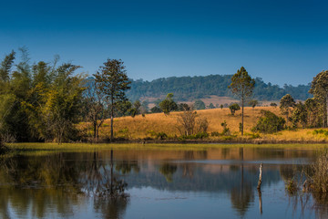 Scenic double tree with moutains in morning sunrise at lake in T