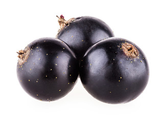 Berry