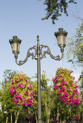 Lighting pole and flowers
