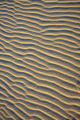 Sand Ripples