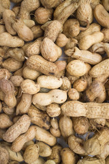 Boiled peanut
