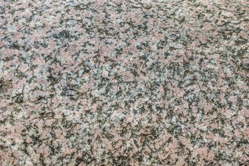 granite / Structure of a stone slab granite