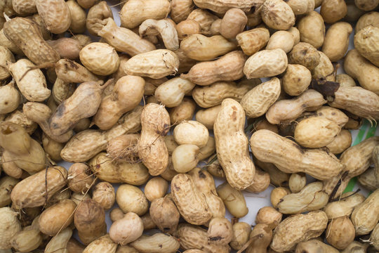 Boiled peanut
