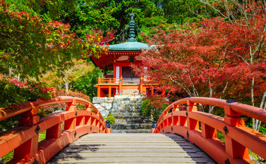 Fototapeta premium Świątynia Daigoji jesienią, Kioto, Japonia