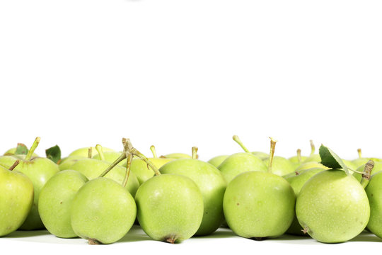 Small green apples on white, with clear space to write on top