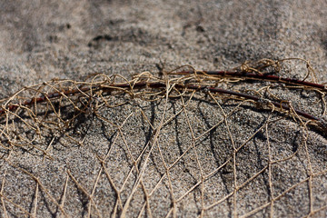 Сеть на песке