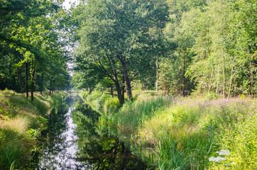 Fototapeta na wymiar friesland canal