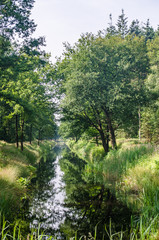 Fototapeta na wymiar friesland canal