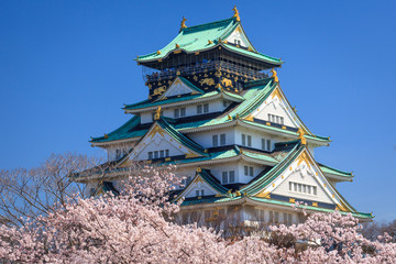 Fototapeta premium Zamek w Osace, Osaka, Japonia