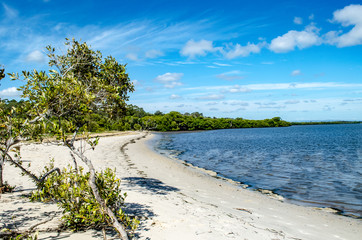 Bribie island