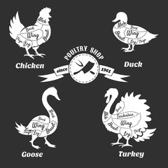 Fototapeta na wymiar Poultry cuts poster. Chicken and duck, goose turkey