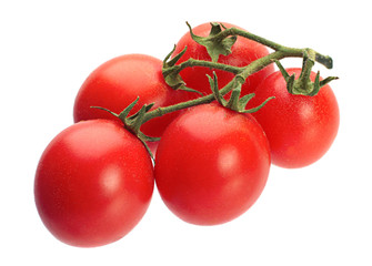 Tomatoes vegetable isolated