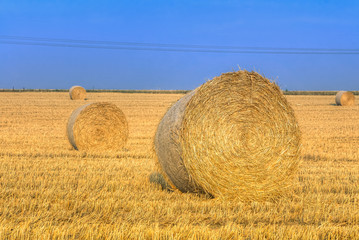 Heuballen zur Getreide-Erntezeit
